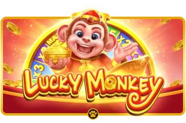 WTA Tour match game information on 8vip apk mobile